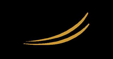 Stryker Financial Stryker Financial